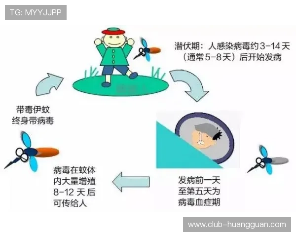 如何正确理解“角子”在不同地区和场合中的多重含义，避免沟通误会