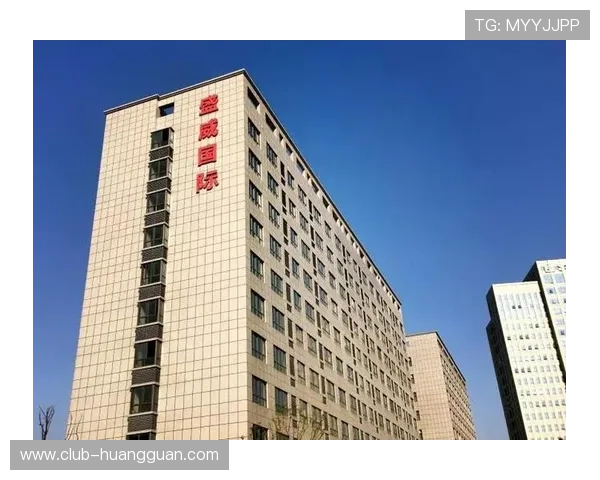 新濠国际发展实现可持续增长的战略措施与未来展望