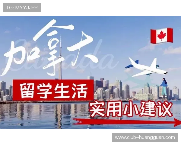 澳博开单安全保障措施详解确保玩家账户资金安全与交易顺畅的实用建议